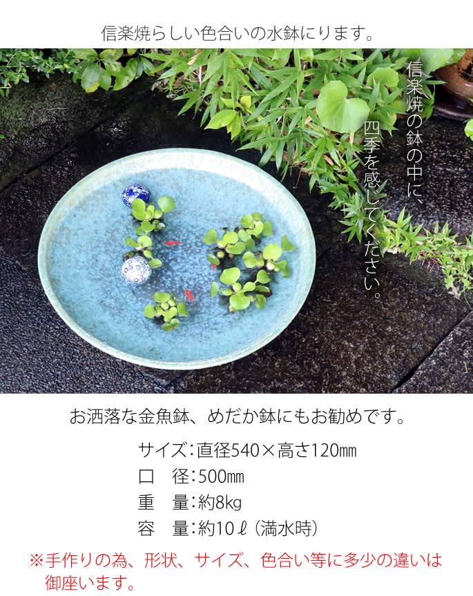 信楽焼　メダカ鉢　睡蓮鉢　水鉢　直径約50cm 金魚鉢 メダカ鉢 信楽焼 水鉢 すいれん鉢 陶器 鉢 めだか鉢 睡蓮